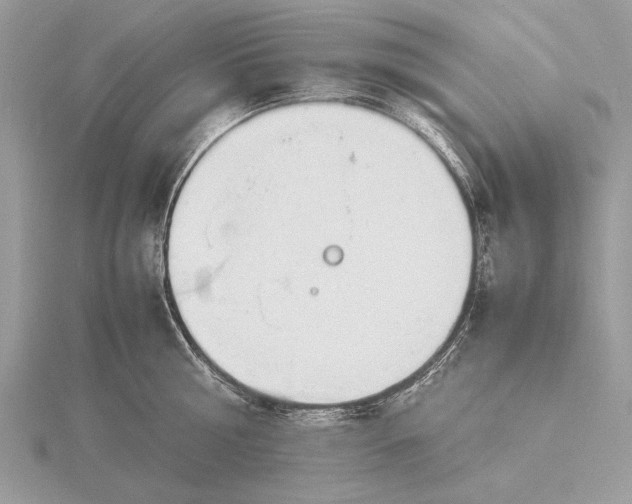 X0000116140810200912071242