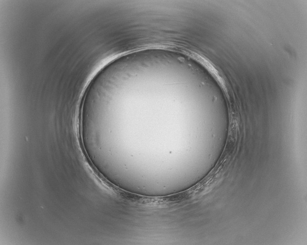 X0000116140811200912071242