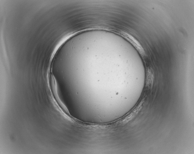 X0000116140812200912071242