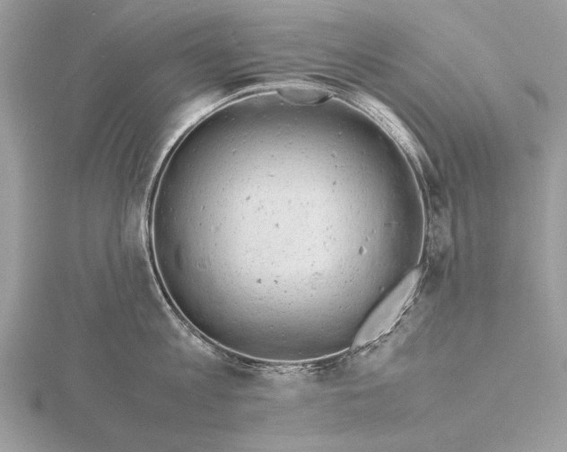 X0000116140813200912071242