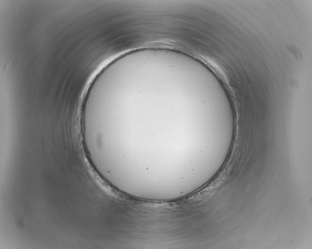 X0000116140816200912071242