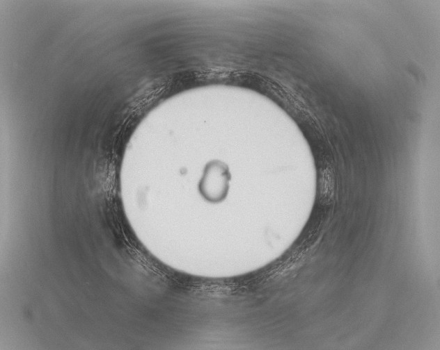 X0000116140820200912071241