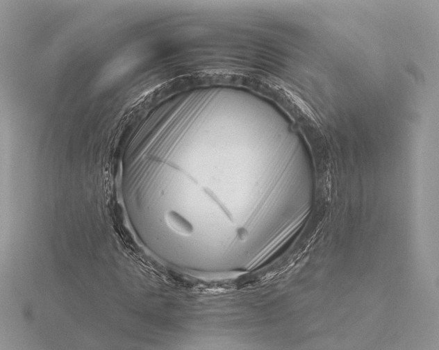 X0000116140821200912071241