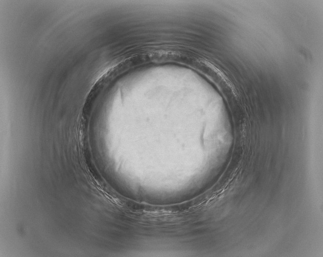 X0000116140823200912071241