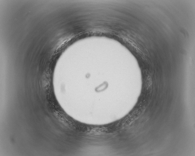 X0000116140824200912071241