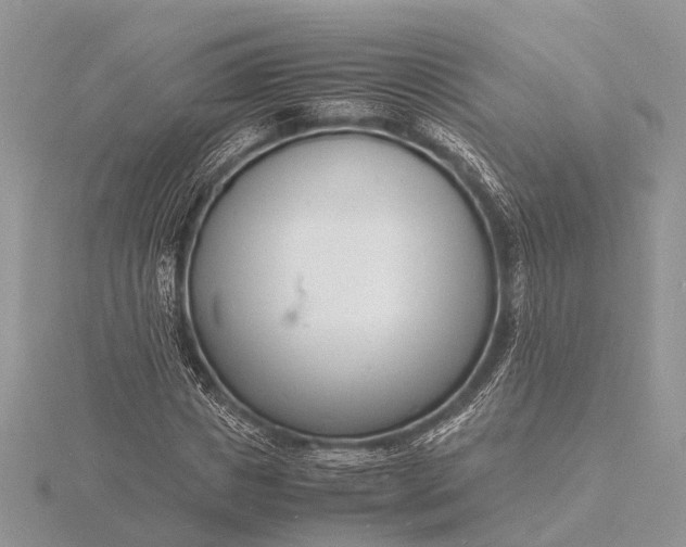 X0000116140825200912071241