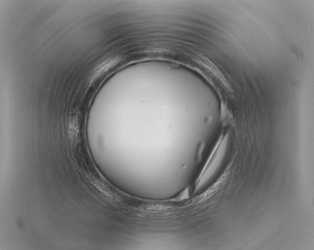 X0000116140826200912071241