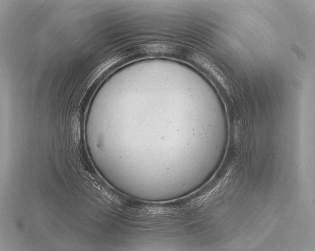 X0000116140829200912071241