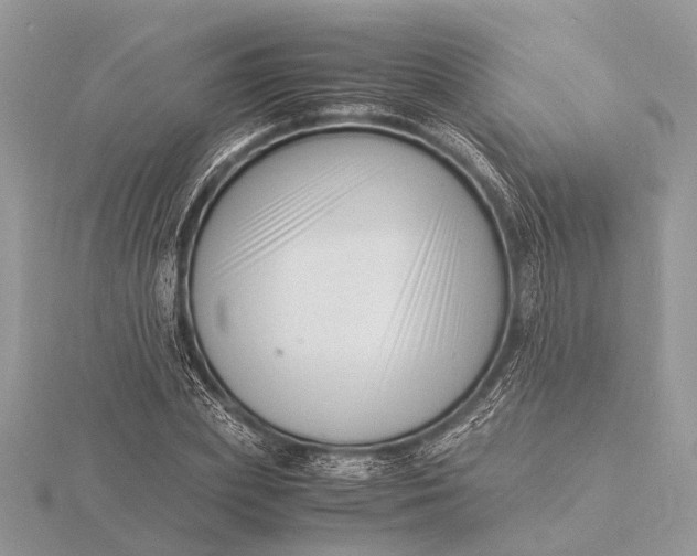 X0000116140831200912071241