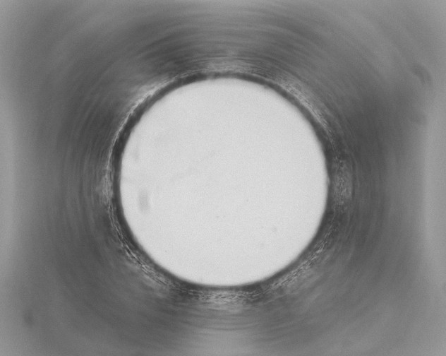 X0000116140832200912071241