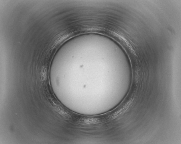 X0000116140833200912071241