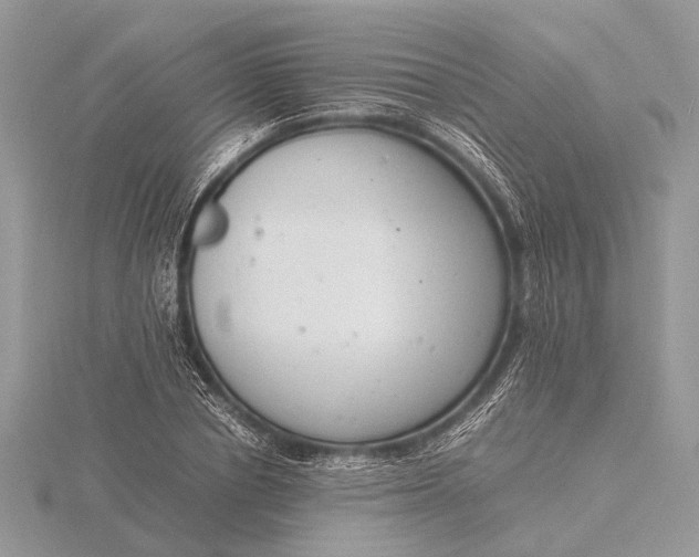 X0000116140834200912071241