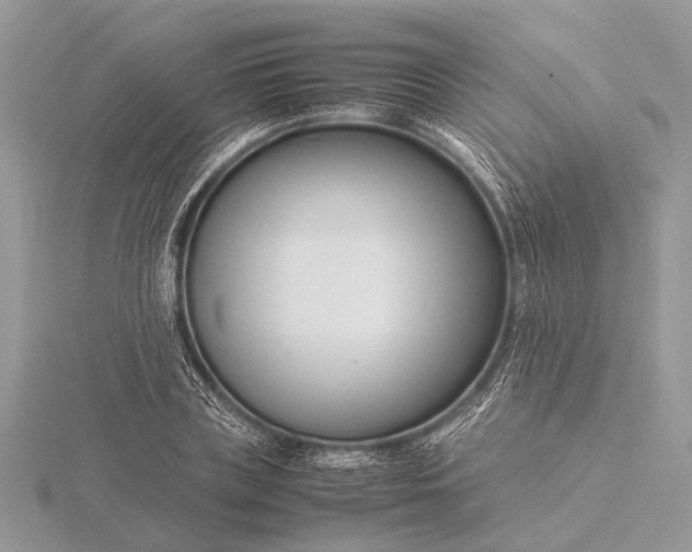 X0000116140835200912071241