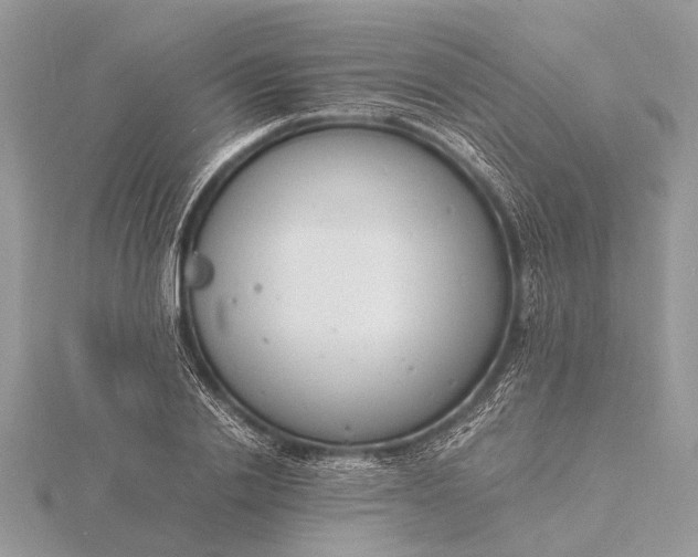 X0000116140838200912071241