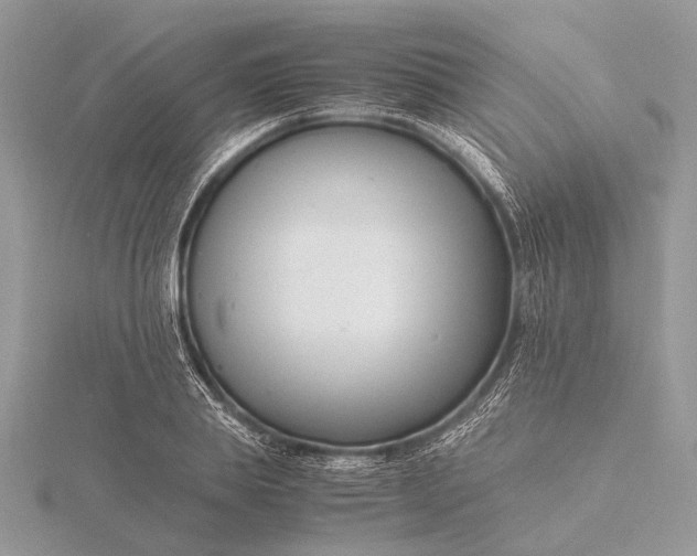 X0000116140839200912071241