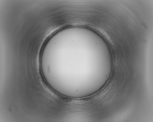 X0000116140840200912071241