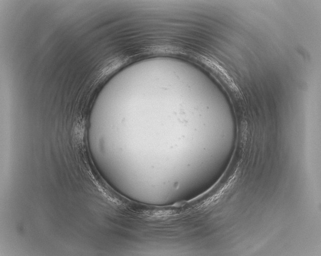 X0000116140841200912071241