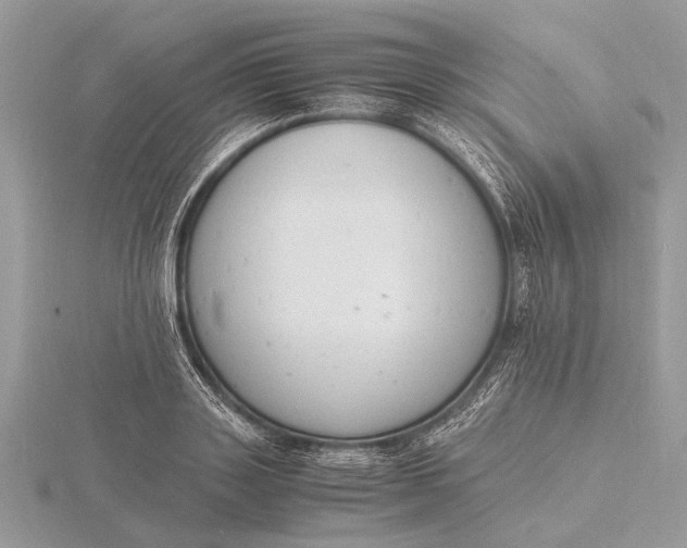 X0000116140843200912071241