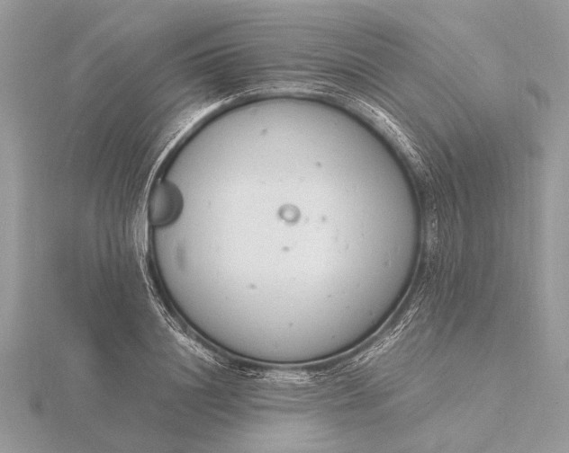 X0000116140844200912071241