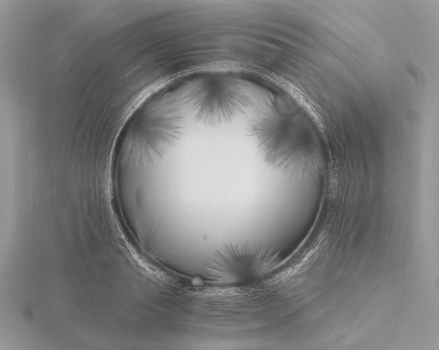 X0000116140845200912071241