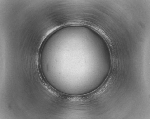 X0000116140846200912071241