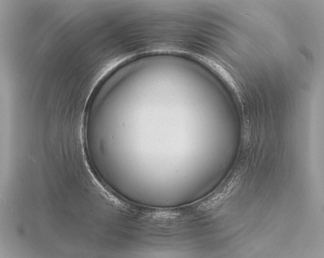 X0000116140847200912071241