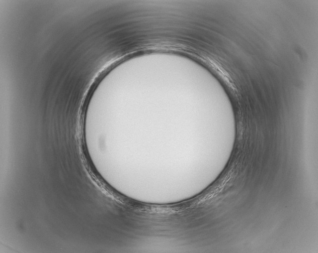 X0000116140848200912071241