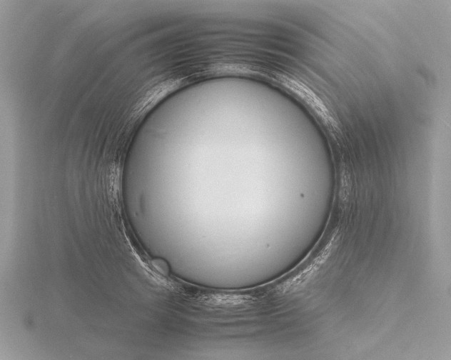 X0000116140849200912071241