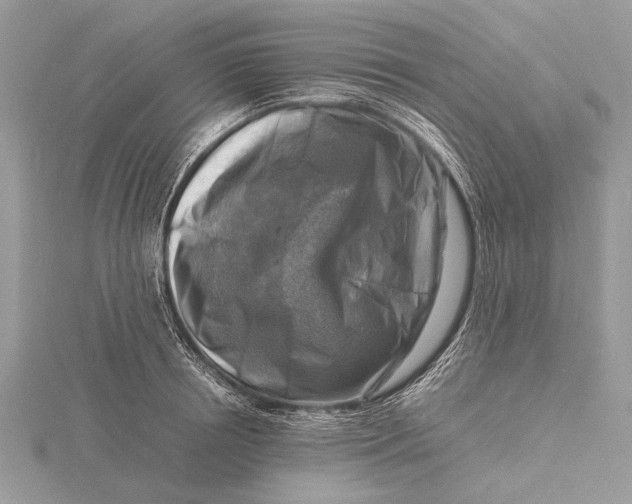 X0000116140850200912071241