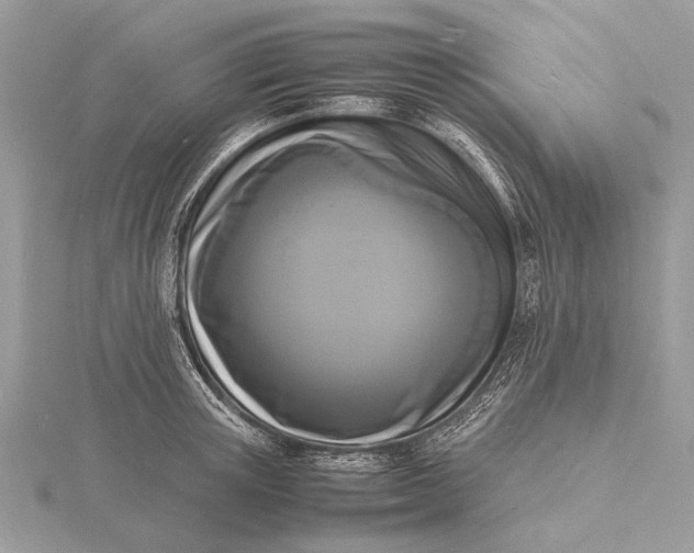 X0000116140851200912071241