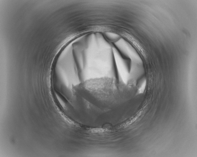 X0000116140853200912071241