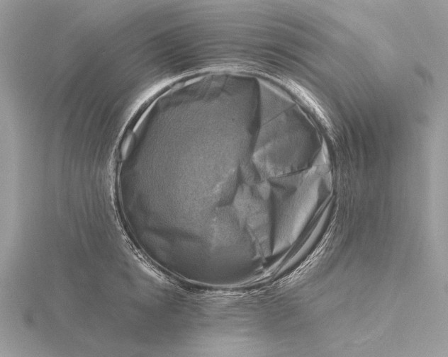 X0000116140854200912071241