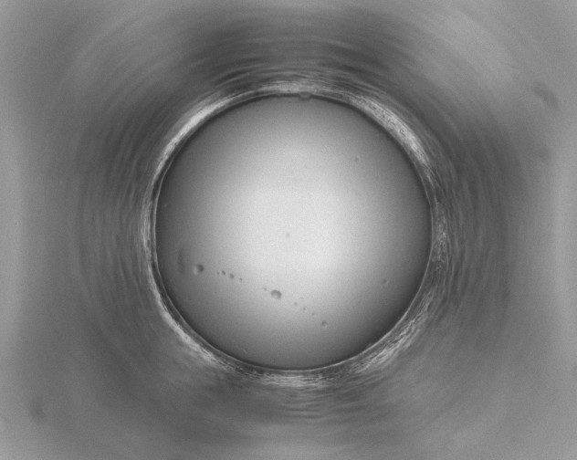 X0000116140855200912071241