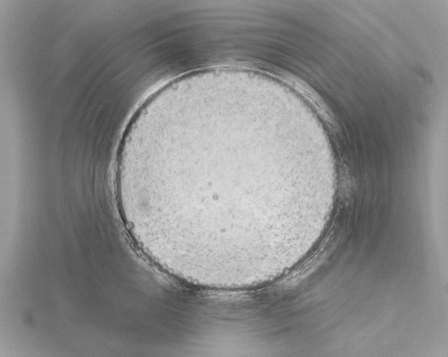 X0000116140856200912071241