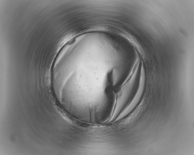 X0000116140858200912071241