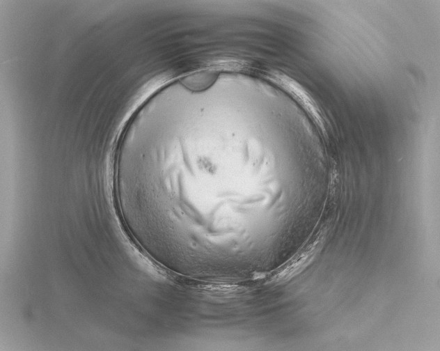 X0000116140859200912071241