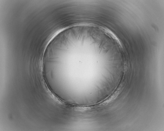 X0000116140860200912071241