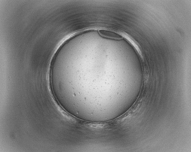 X0000116140861200912071241