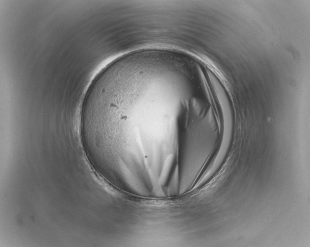 X0000116140862200912071241