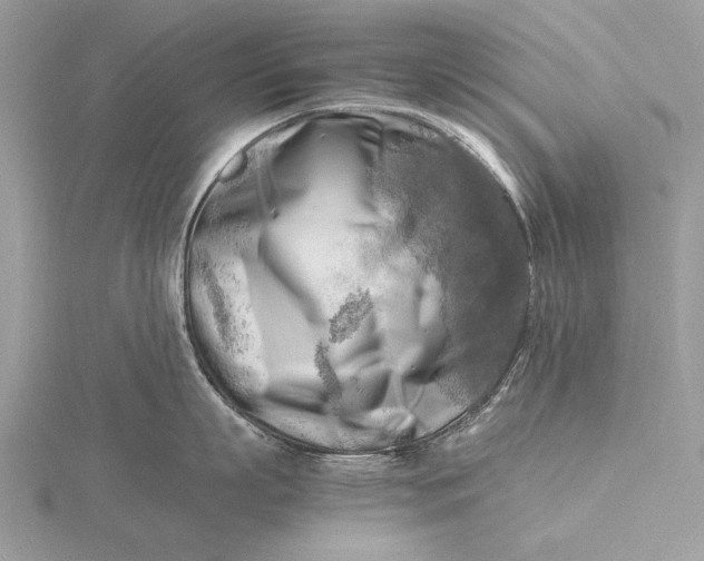 X0000116140863200912071241