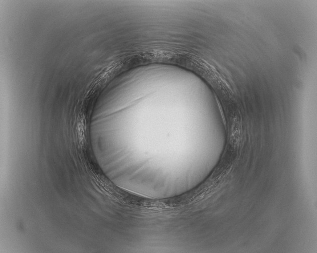 X0000116140866200912071241