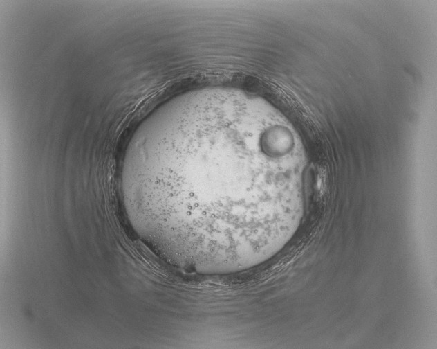 X0000116140867200912071241