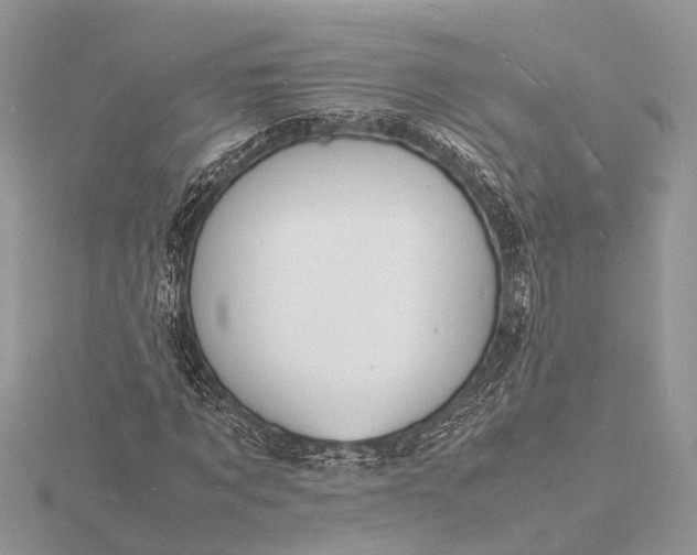 X0000116140869200912071241