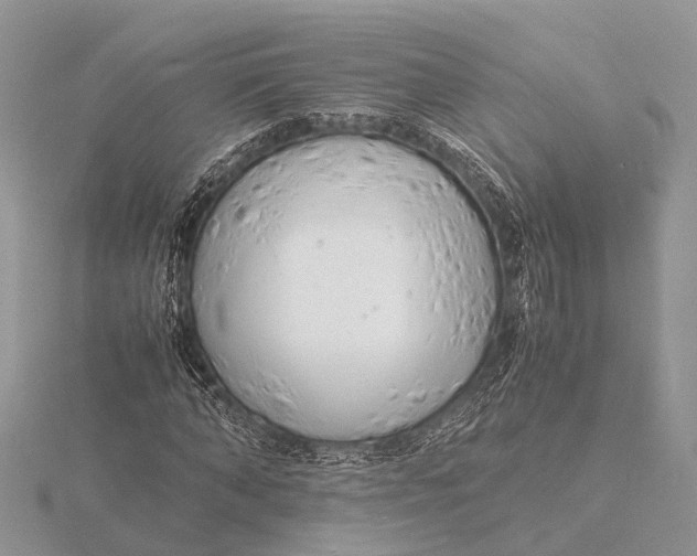 X0000116140870200912071241