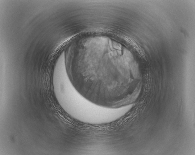 X0000116140872200912071241