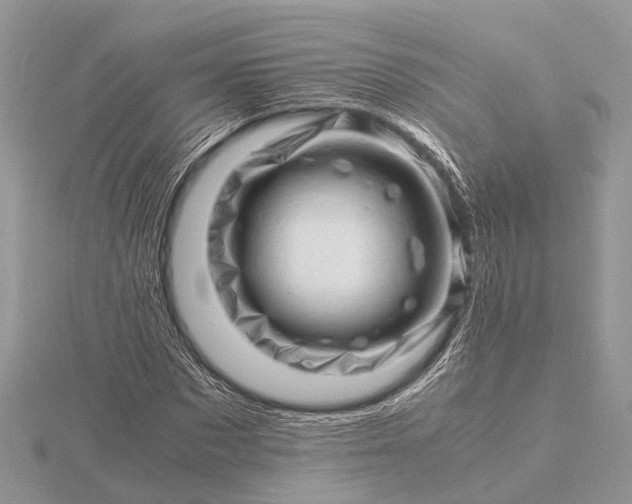 X0000116140873200912071241