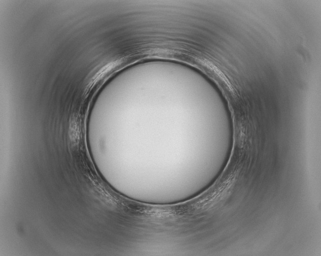 X0000116140874200912071241