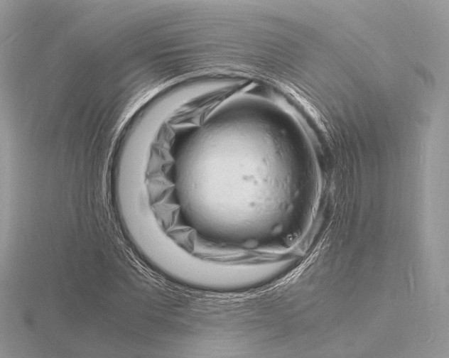 X0000116140877200912071241