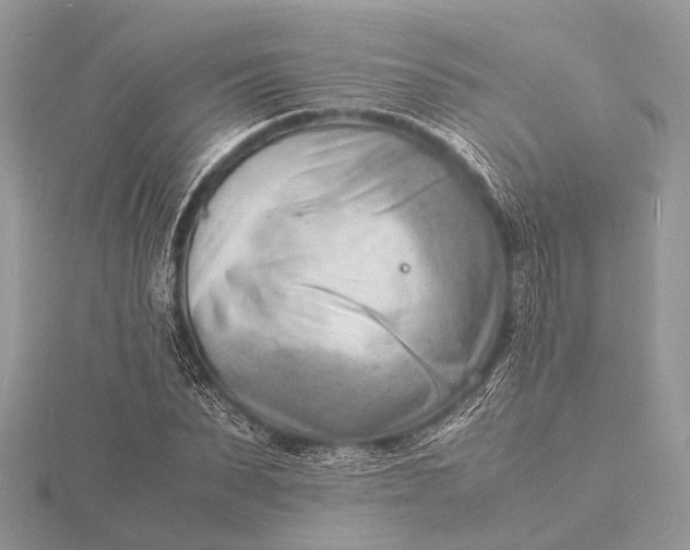 X0000116140879200912071241