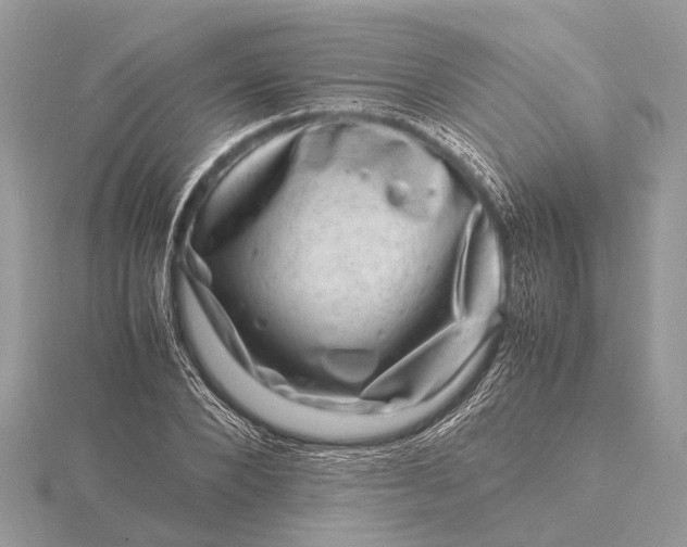 X0000116140880200912071241